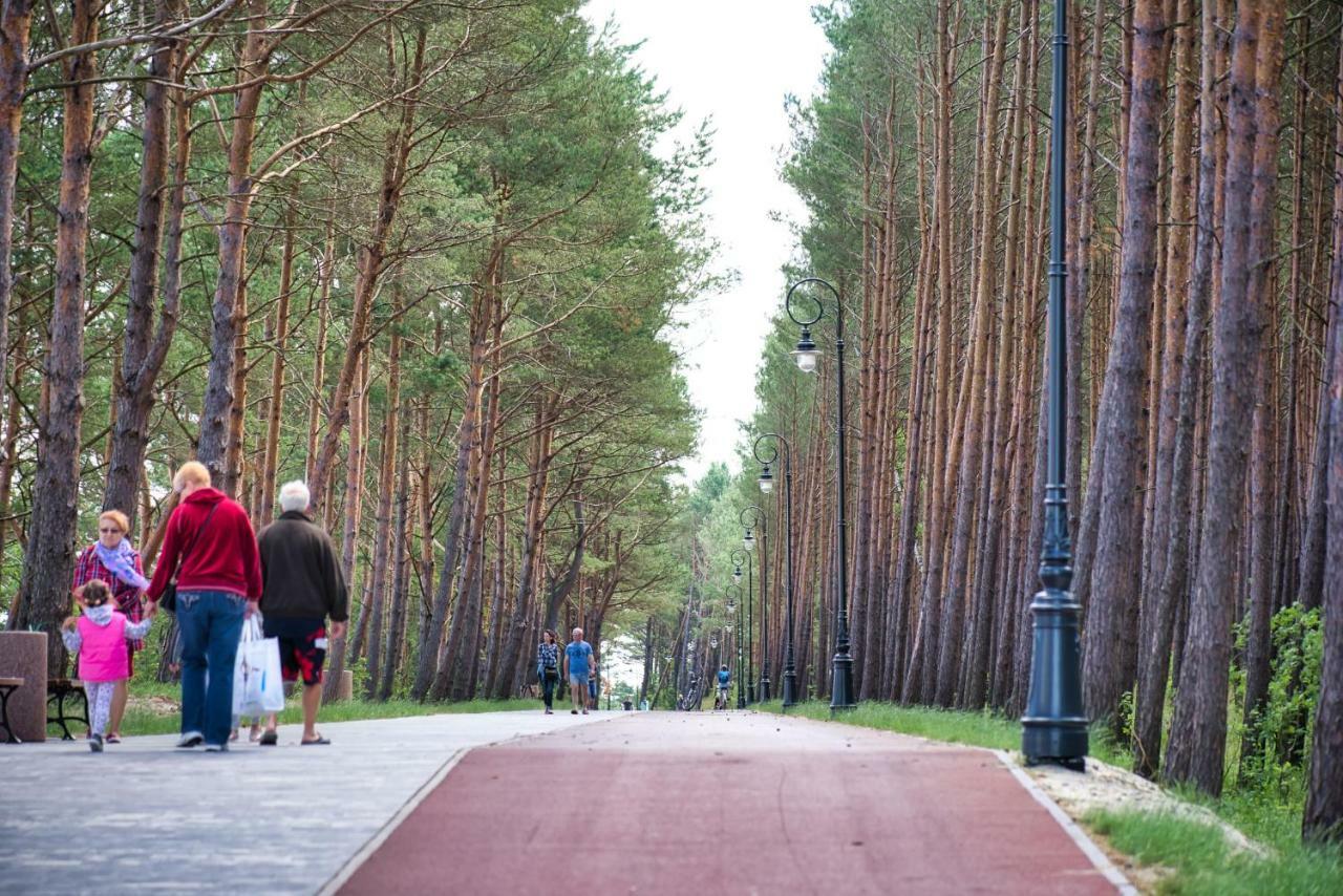 Natura Mierzei 30 - Pokoje Z Widokiem Na Baltyk Bed and Breakfast Krynica Morska Eksteriør billede